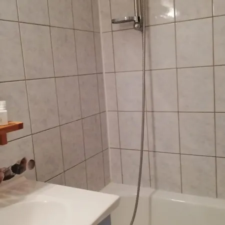 Apartment Avec Aux Pieds Des Pistes, Animaux Admis *